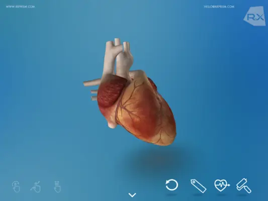 Heart Explore 3D android App screenshot 2